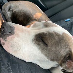 Meet your Posher, Victor